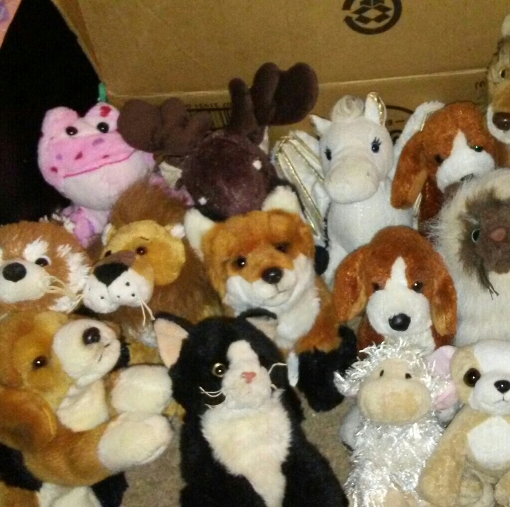 Webkinz